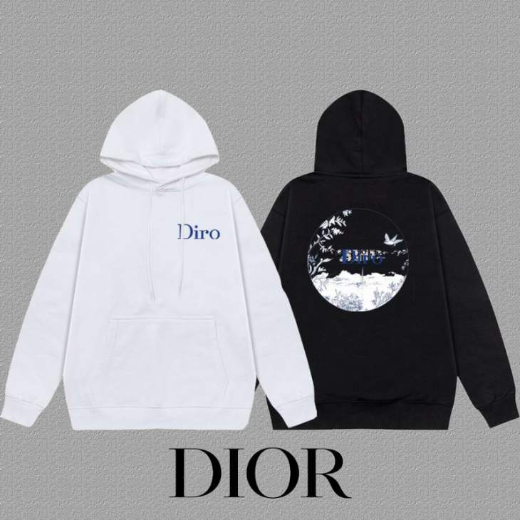 Picture of Dior Hoodies _SKUDiorS-2XLxetr412660